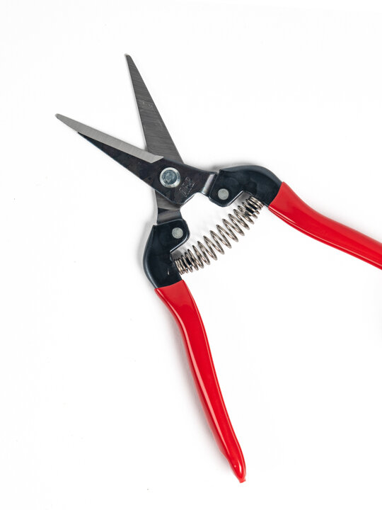 Ψαλίδι χειρός τρυγού - ARS