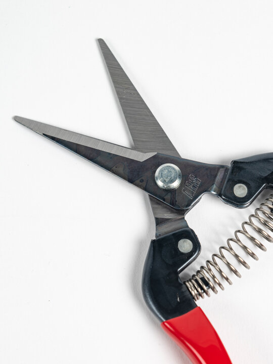 Ψαλίδι χειρός τρυγού - ARS